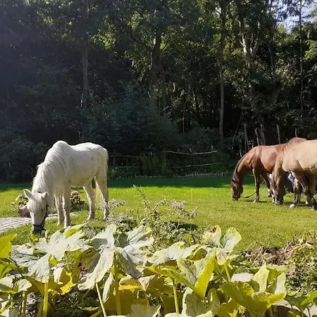 Poggenhagen Urlaub Mitten In Der Neustadt am Rübenberge