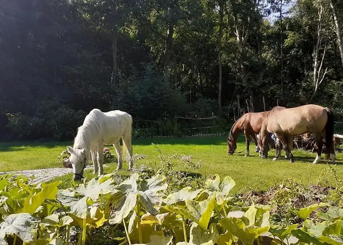 Poggenhagen Urlaub Mitten In Der Neustadt am Rübenberge